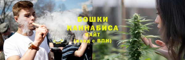 соль ск Козловка