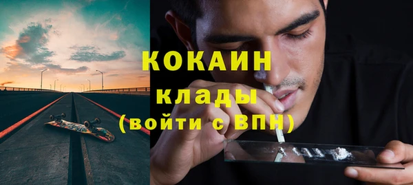 соль ск Козловка