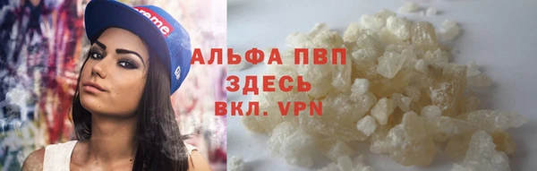ПСИЛОЦИБИНОВЫЕ ГРИБЫ Сафоново