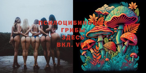 ПСИЛОЦИБИНОВЫЕ ГРИБЫ Сафоново