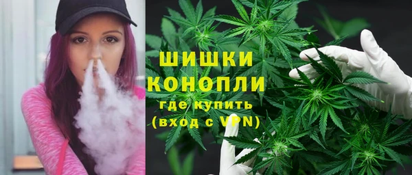соль ск Козловка
