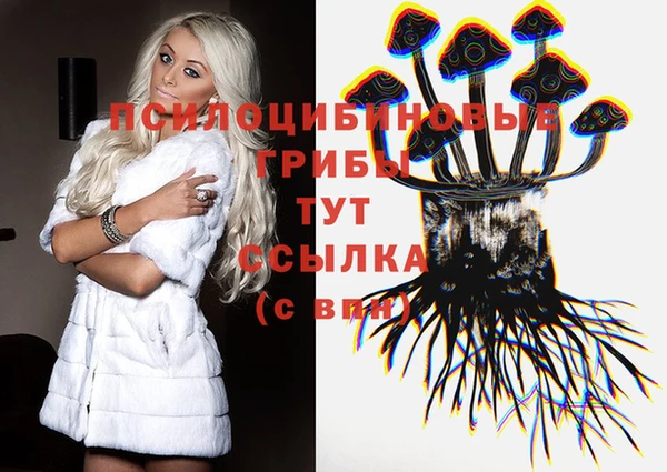 таблы Саяногорск
